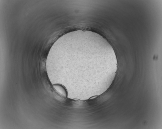 X0000114600432200911161359