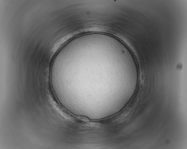 X0000114600437200911161358