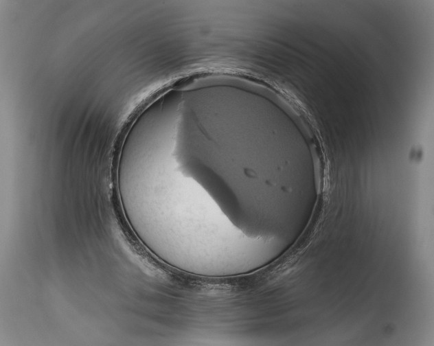 X0000114600438200911161358