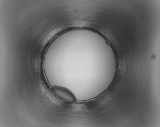 X0000114600440200911161358