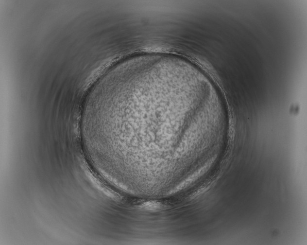 X0000114600441200911161358