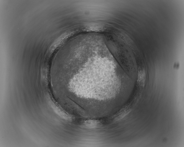 X0000114600444200911161358