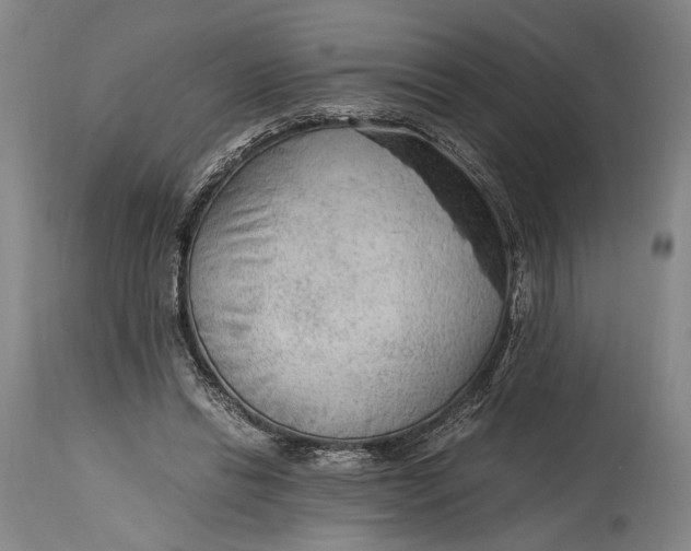 X0000114600446200911161358