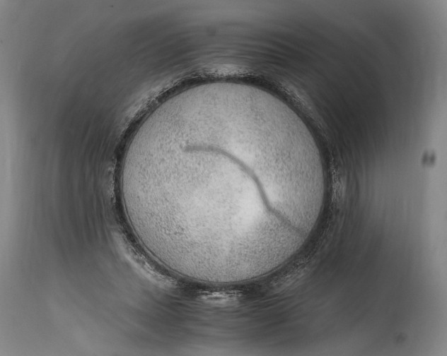 X0000114600447200911161358