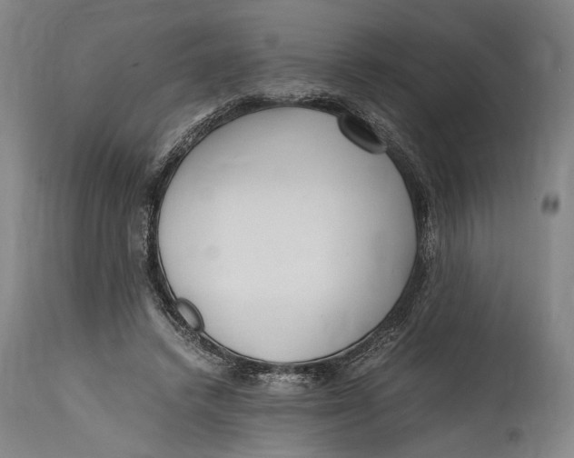 X0000114600448200911161358