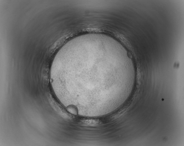 X0000114600449200911161358