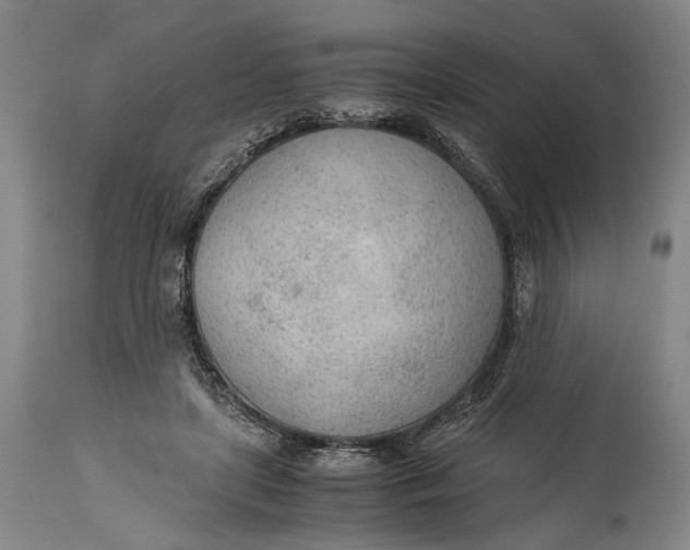 X0000114600451200911161358