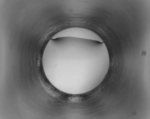 X0000114600452200911161358