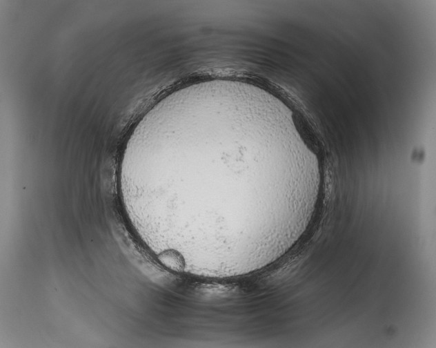 X0000114600453200911161358