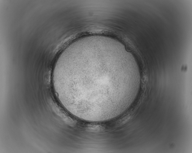 X0000114600454200911161358