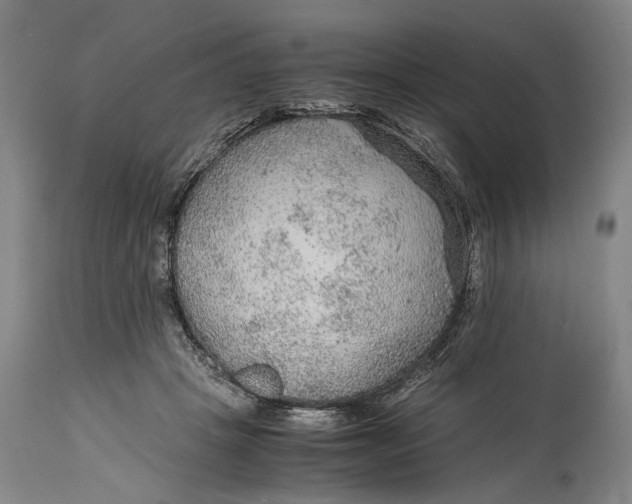 X0000114600457200911161358