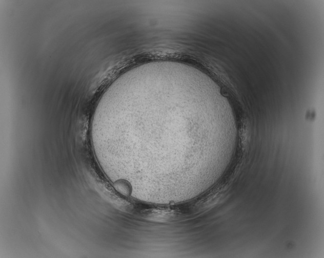 X0000114600458200911161358