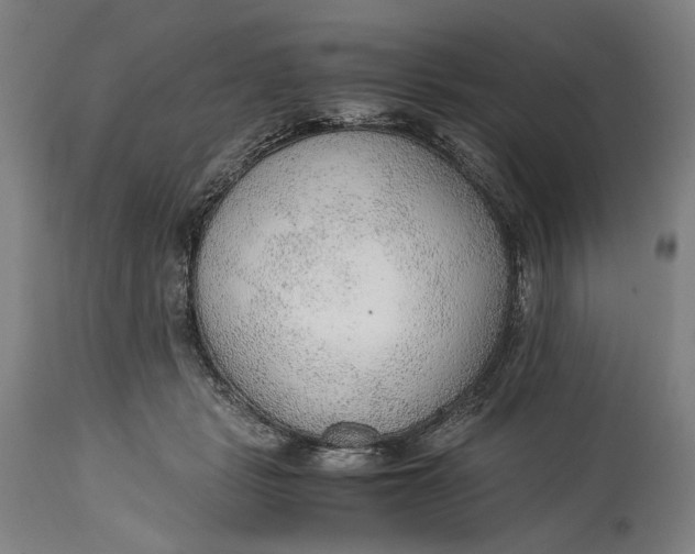 X0000114600461200911161358