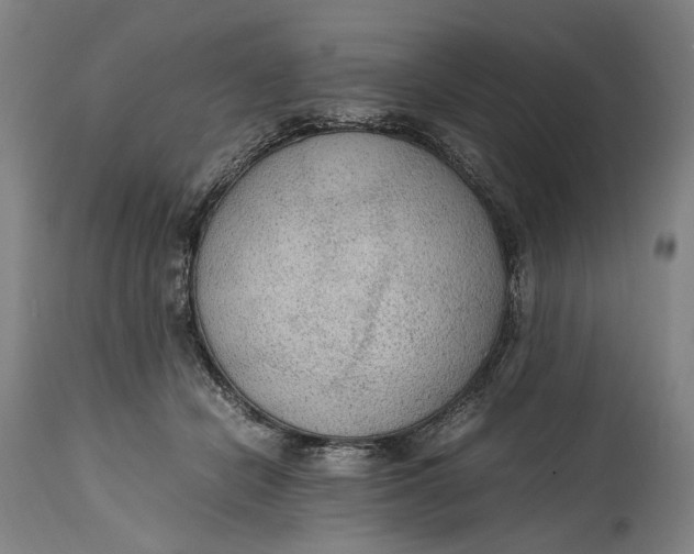 X0000114600462200911161358