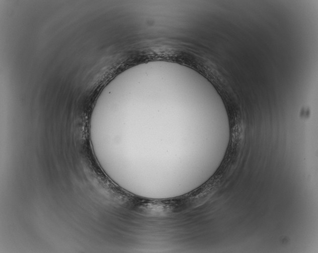 X0000114600464200911161358