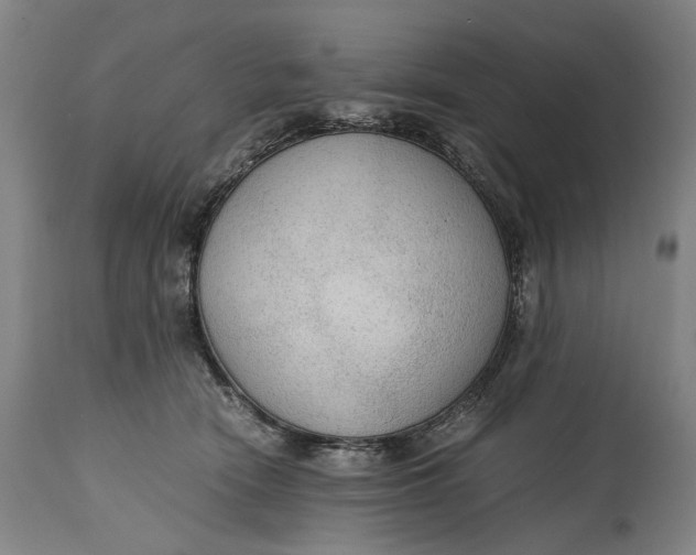 X0000114600466200911161358