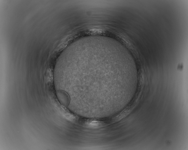 X0000114600467200911161358