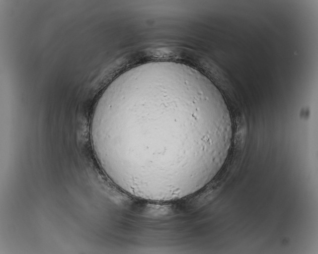 X0000114600469200911161358