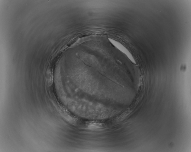 X0000114600471200911161358