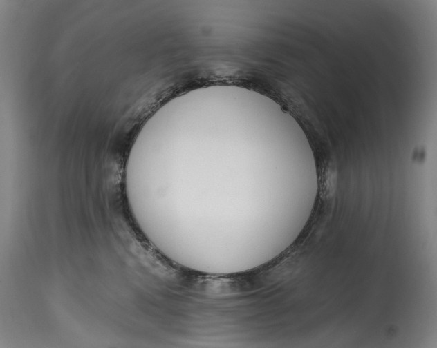 X0000114600472200911161358