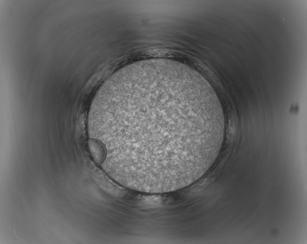 X0000114600473200911161358