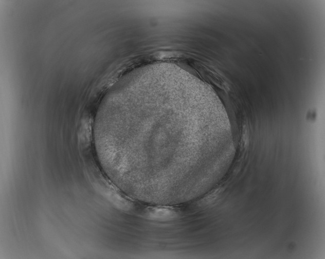 X0000114600475200911161358