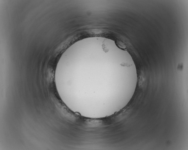 X0000114600476200911161358