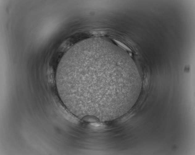 X0000114600477200911161358