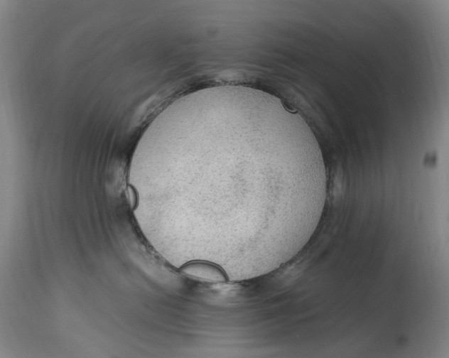 X0000114600478200911161358