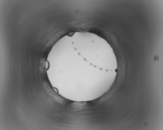 X0000114600480200911161358