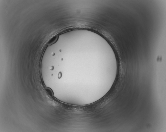 X0000114600481200911161358