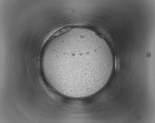 X0000114600483200911161358