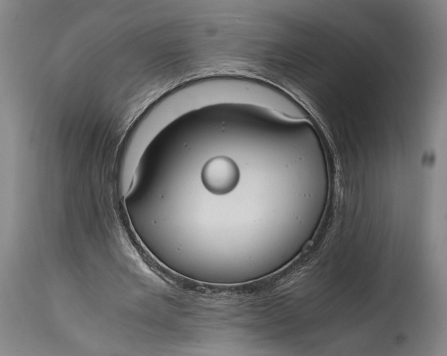 X0000114600485200911161358