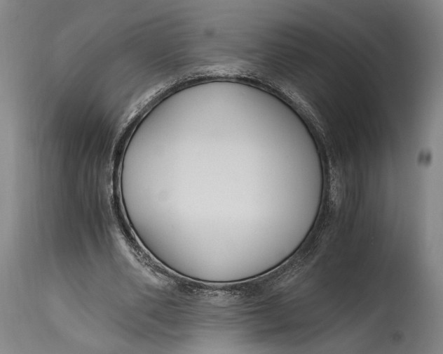 X0000114600486200911161358