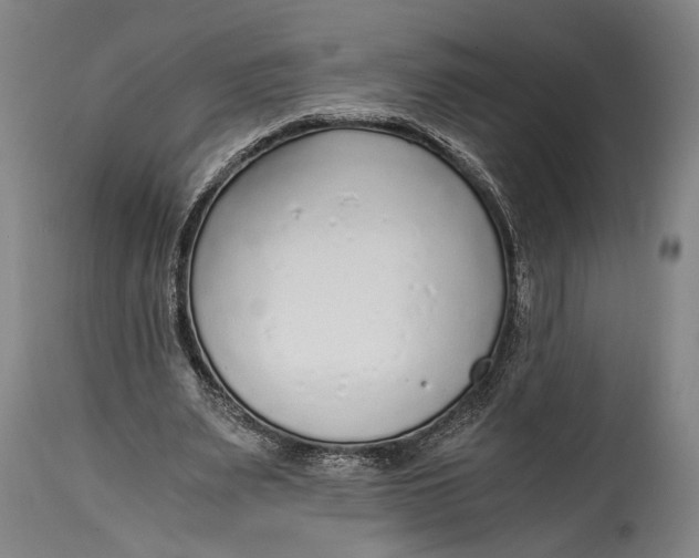 X0000114600487200911161358