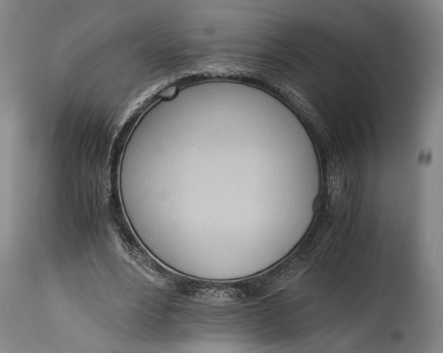 X0000114600488200911161358