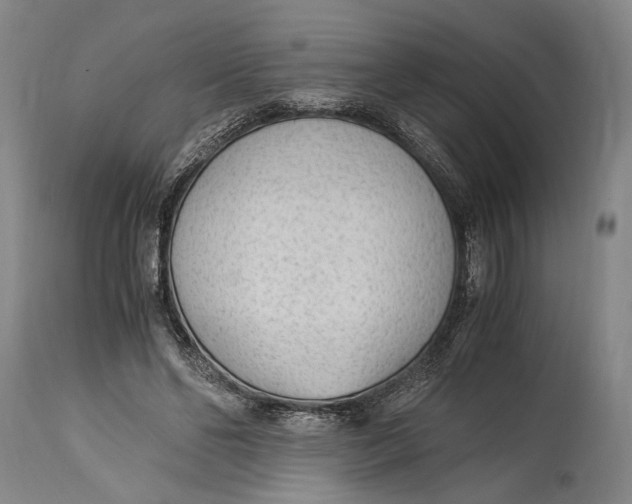 X0000114600494200911161357