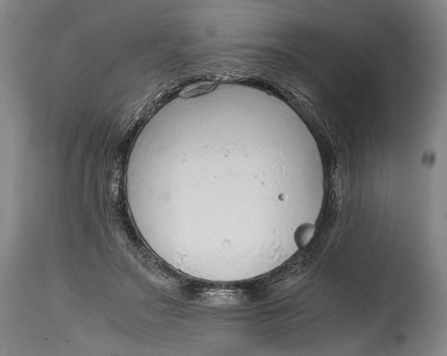 X0000114600499200911161357