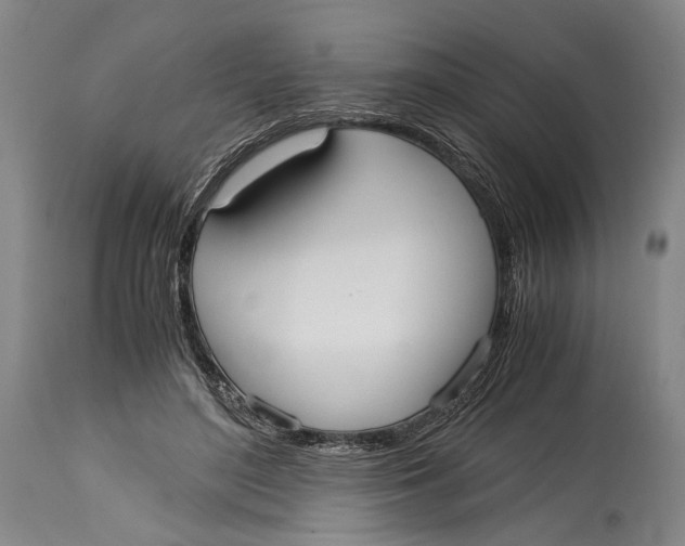 X0000114600500200911161357