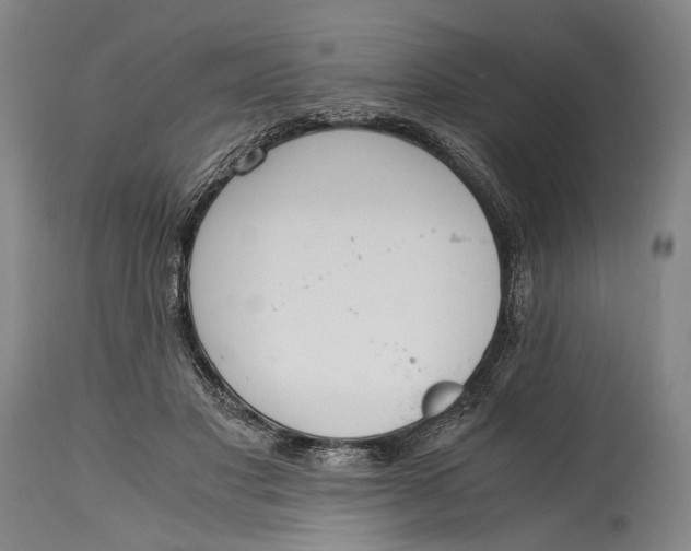 X0000114600501200911161357