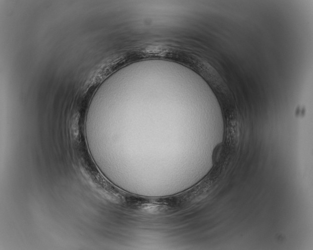 X0000114600504200911161357