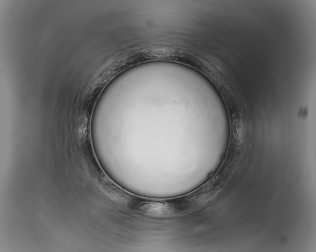 X0000114600507200911161357