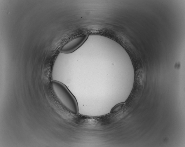 X0000114600509200911161357