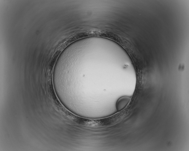 X0000114600511200911161357