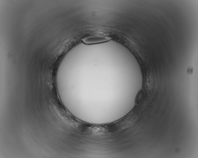 X0000114600512200911161357