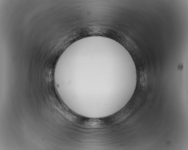 X0000114600514200911161357