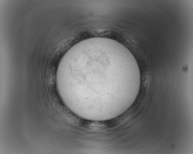 X0000114600515200911161357