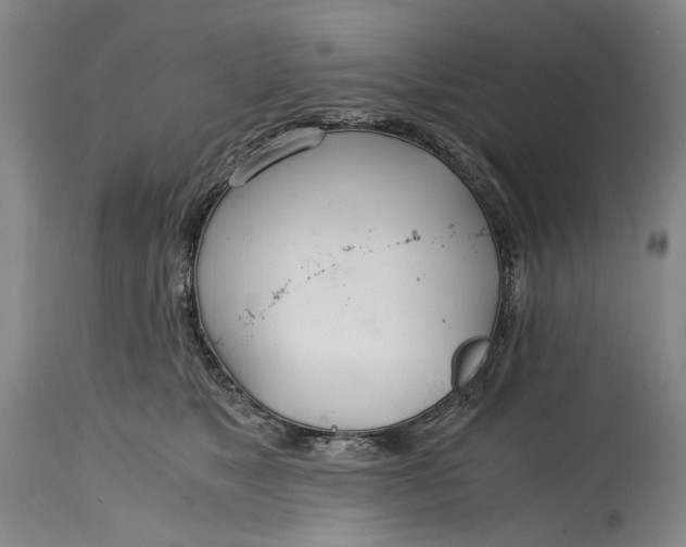 X0000114600517200911161357