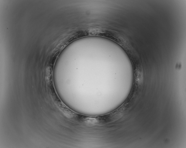 X0000114600519200911161357