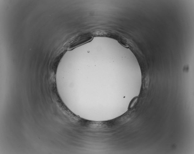 X0000114600521200911161357